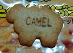 たべっ子どうぶつ,ラクダ,camel
