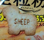 たべっ子どうぶつ，羊，ヒツジ，sheep