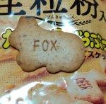 たべっ子どうぶつ，きつね，fox