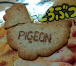 たべっ子どうぶつ,ハト,pigeon