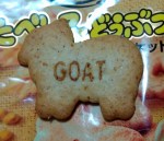 たべっ子どうぶつ，ヤギ，goat