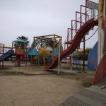 公園,丹原総合公園,西条市